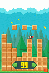 Birdy Rush gameplay-image-2