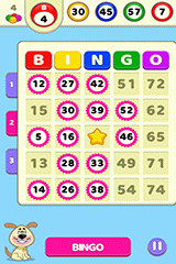 Bingo Royal gameplay-image-2