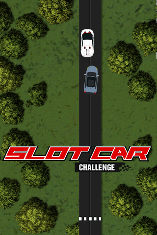 Slot Car Challenge