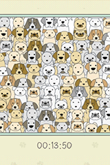 Find The Pug gameplay-image-1